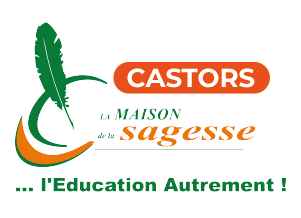 CASTOR
